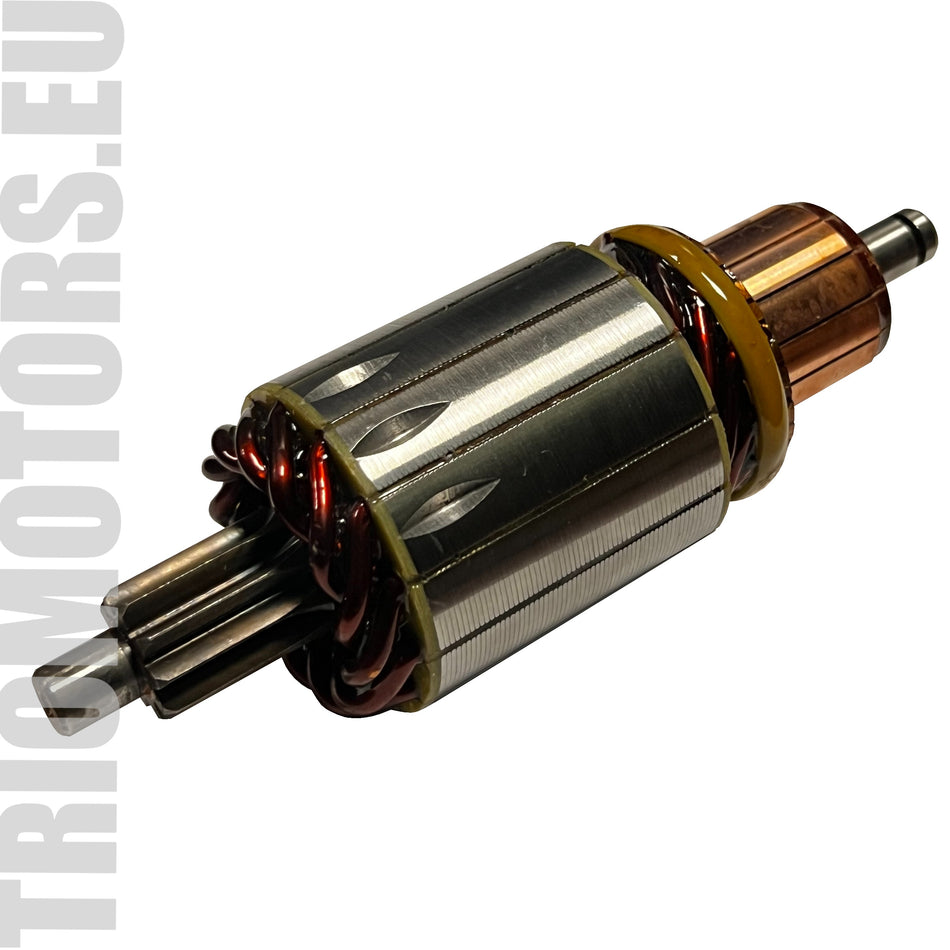 137479 Starter Armature