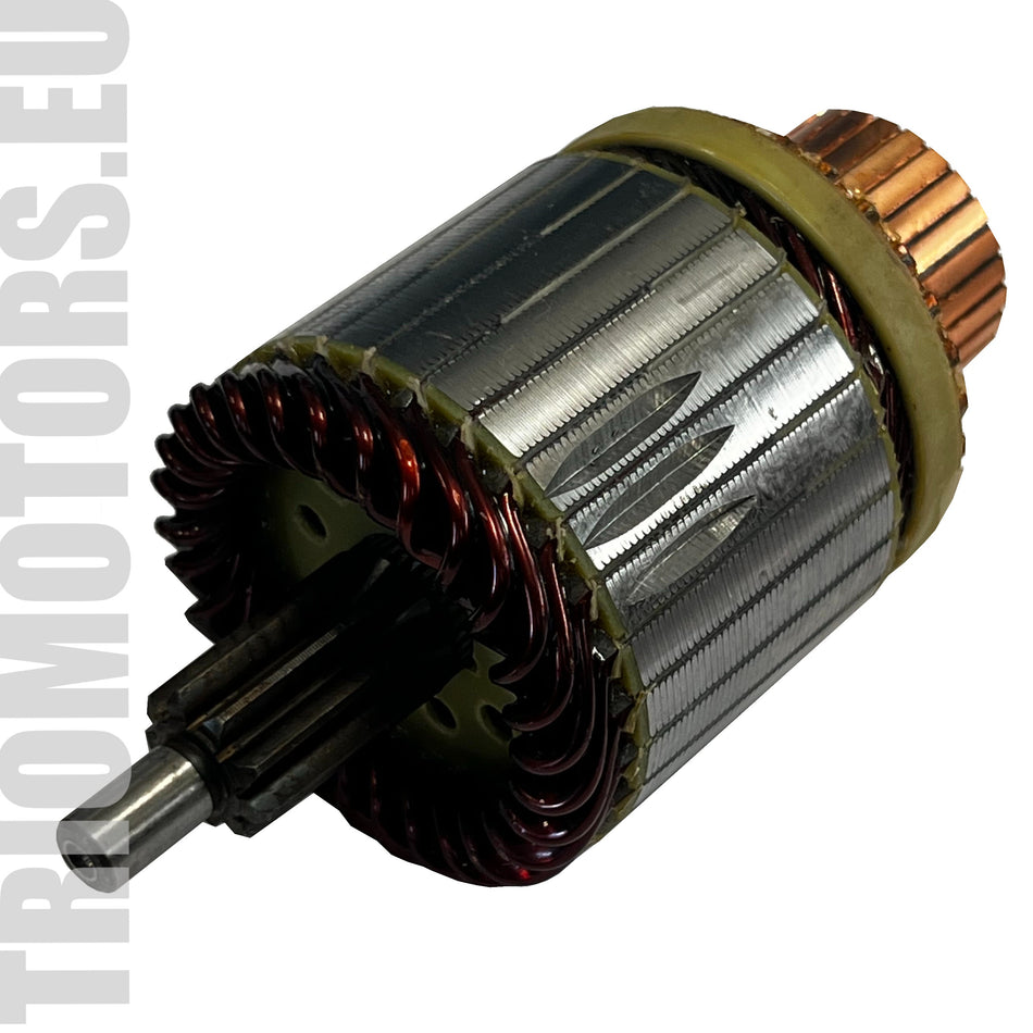 238289 Starter Armature