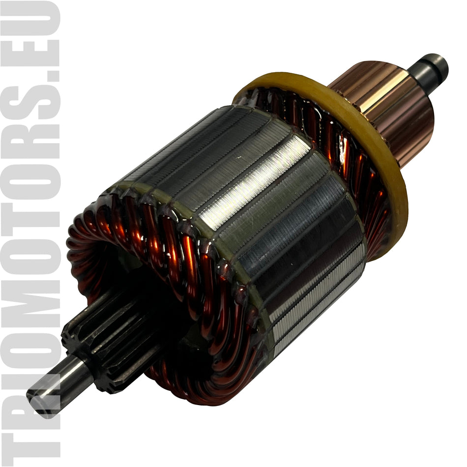 SA0076 Starter Armature