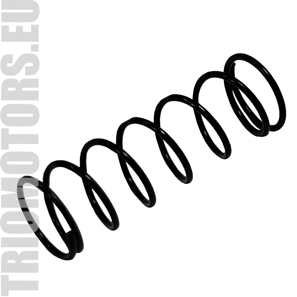 135422 Starter Spring