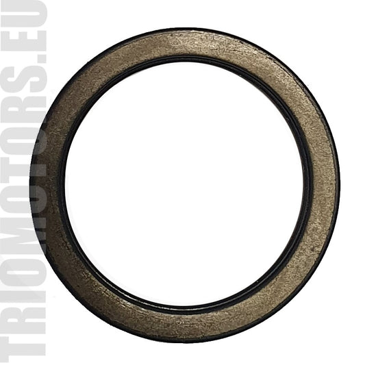 236895 gasket CARGO 236895