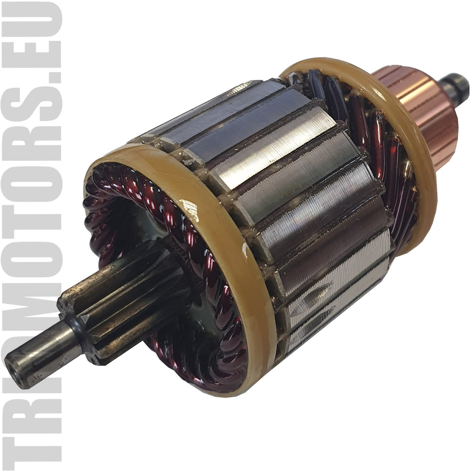 334199 Starter Armature