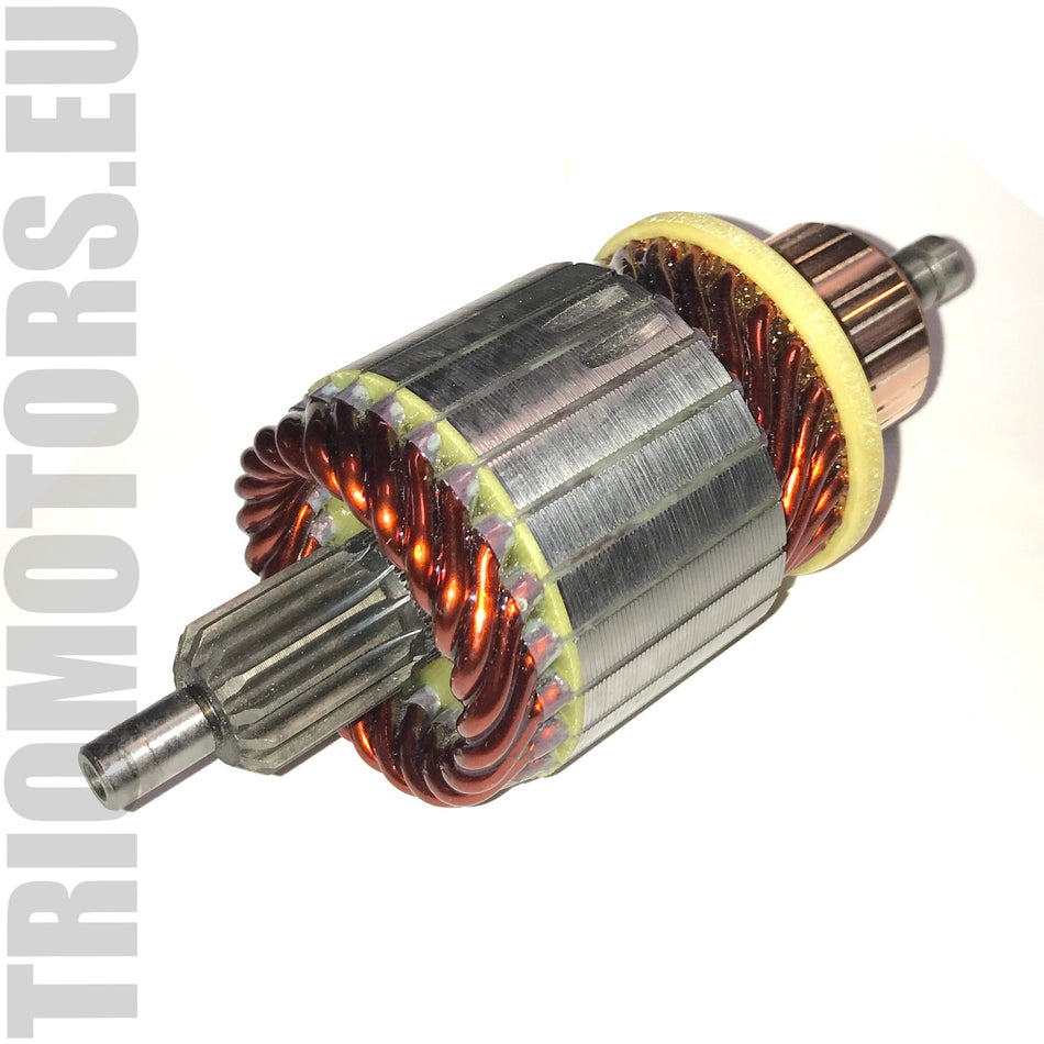 SA0055 Starter Armature